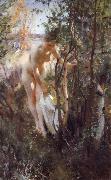Unknow work 88, Anders Zorn